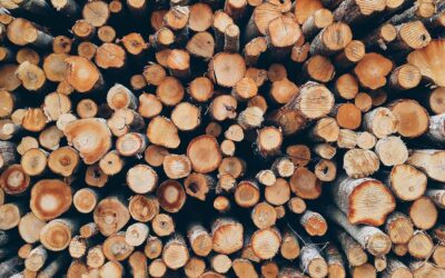Holzverarbeitung auf Rekordhöhe