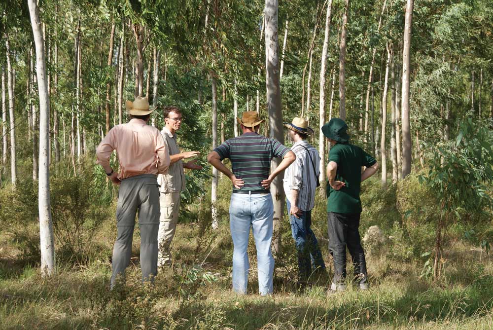 Investorengruppe Miller Forest