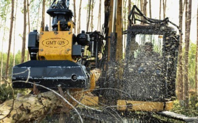 Anlagencheck: Ecoreporter.de überprüft Aufforstung