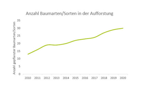 Baumarten & Wachstum Miller Forest Investment AG