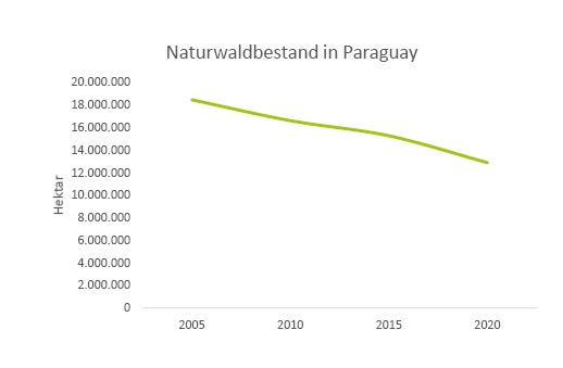 Grafik-Naturwaldbestand-Paraguay