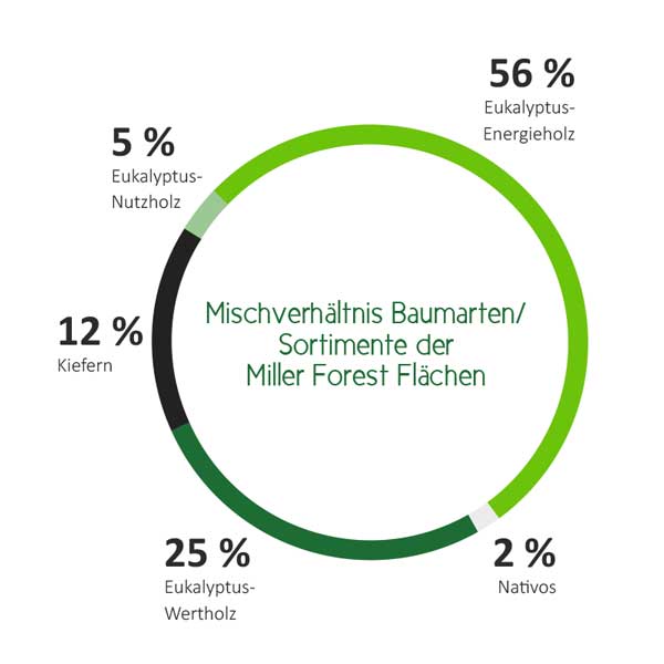 Grafik-Anzahl-Baumarten2