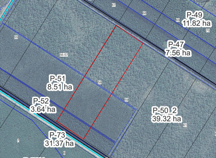 Angebote 14 estancia pozo azul