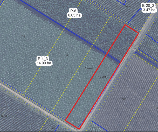 Angebote 10 pozo aul