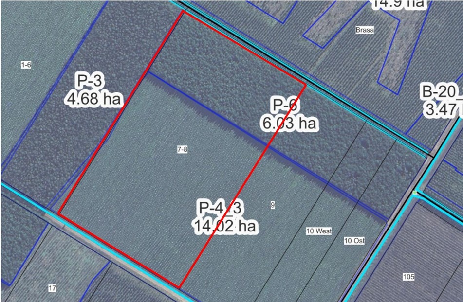 miller forest grundstueck a 01