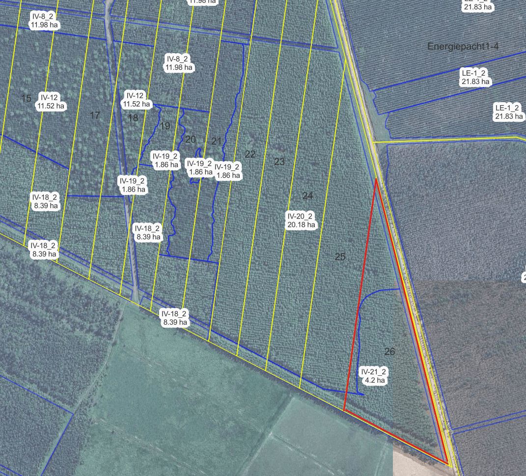 Nr. 49 Estancia Curuzu